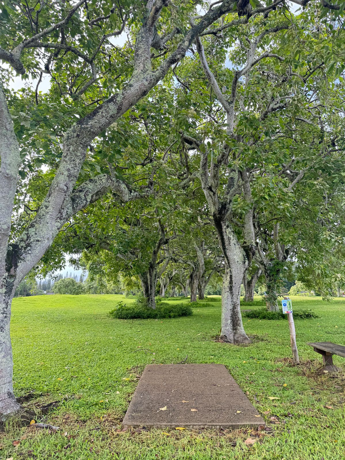 Hole 1 neat view