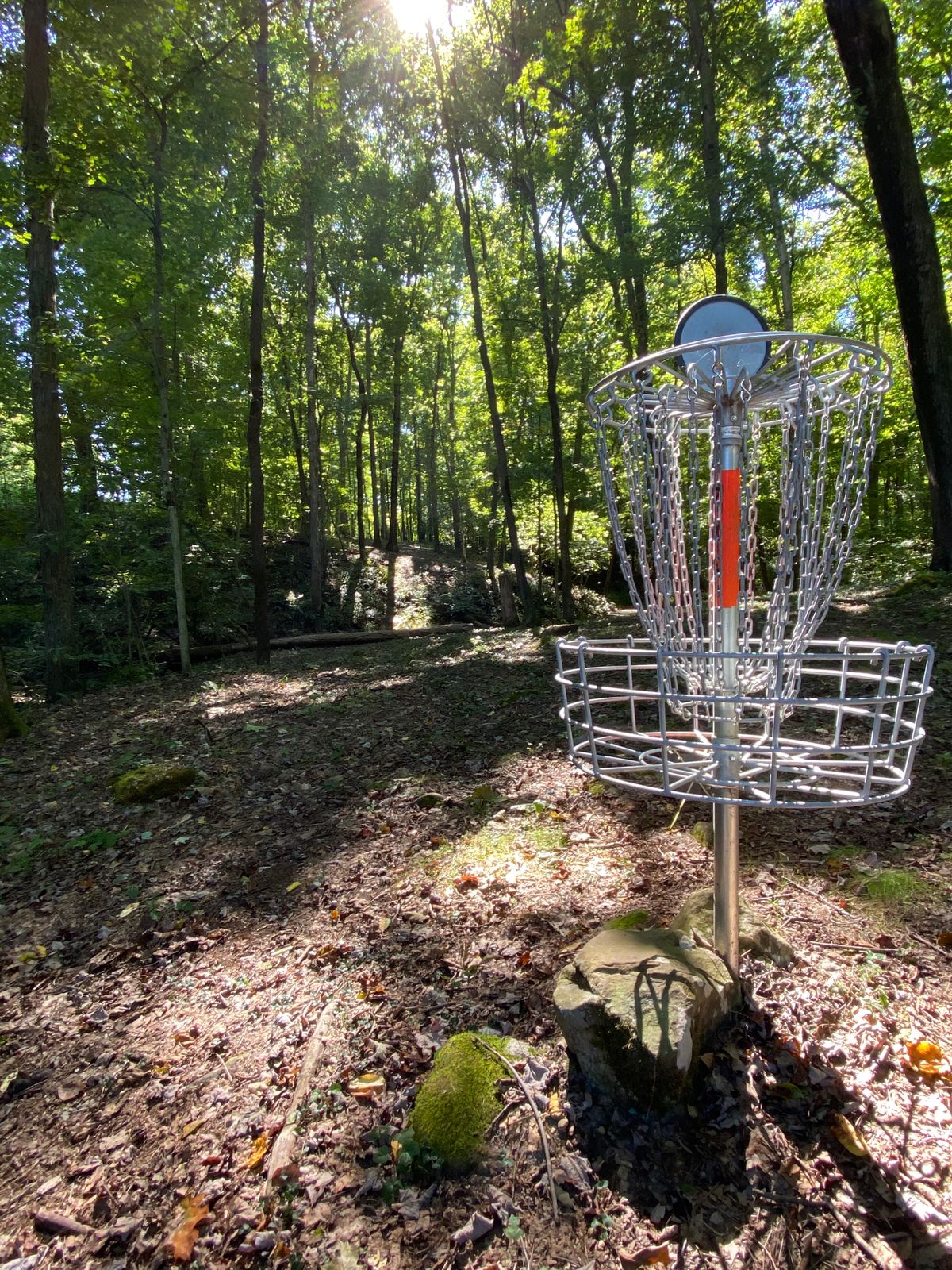 Hole 7 looking up at fairway