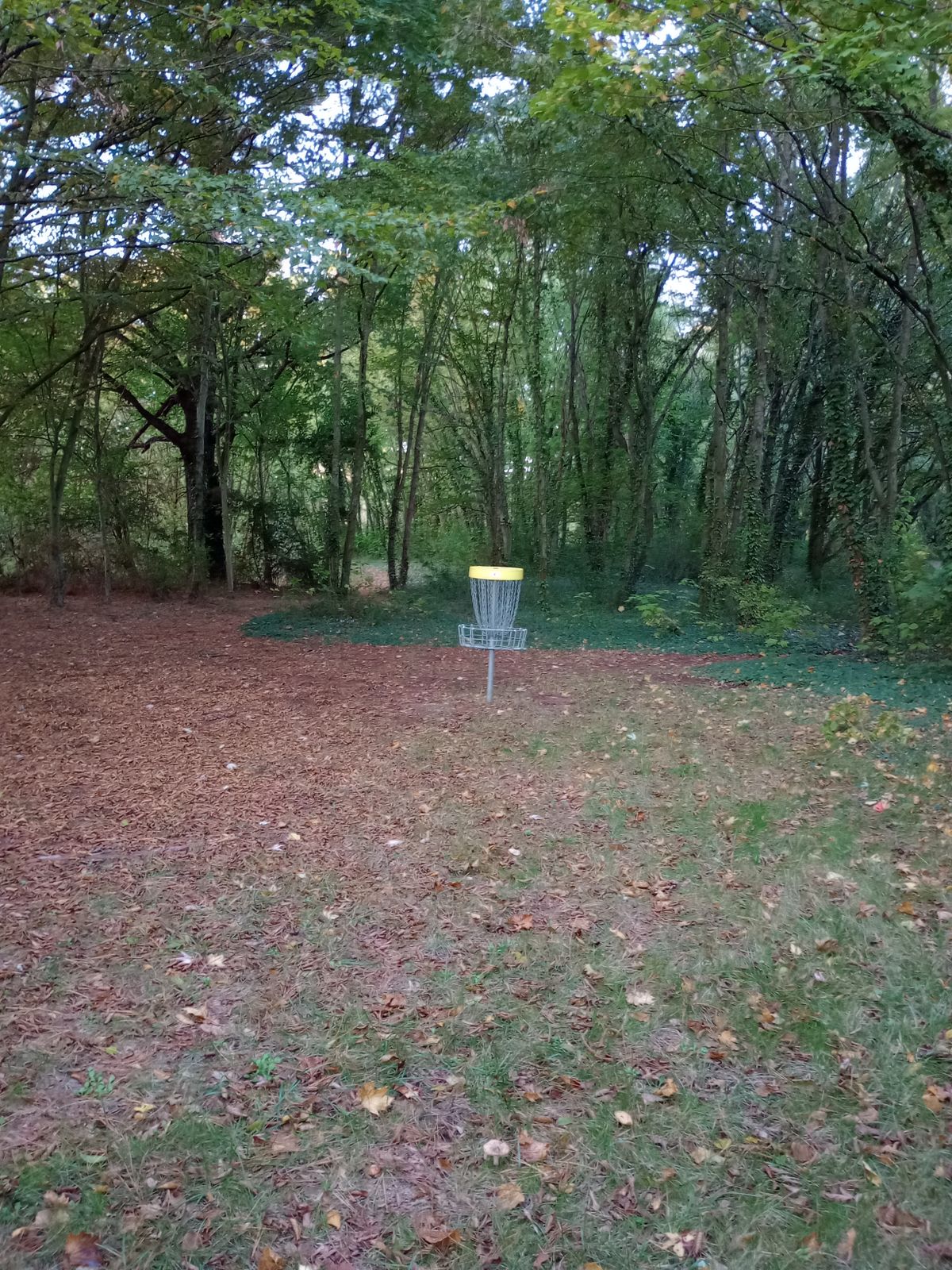 Arrivée trou 6