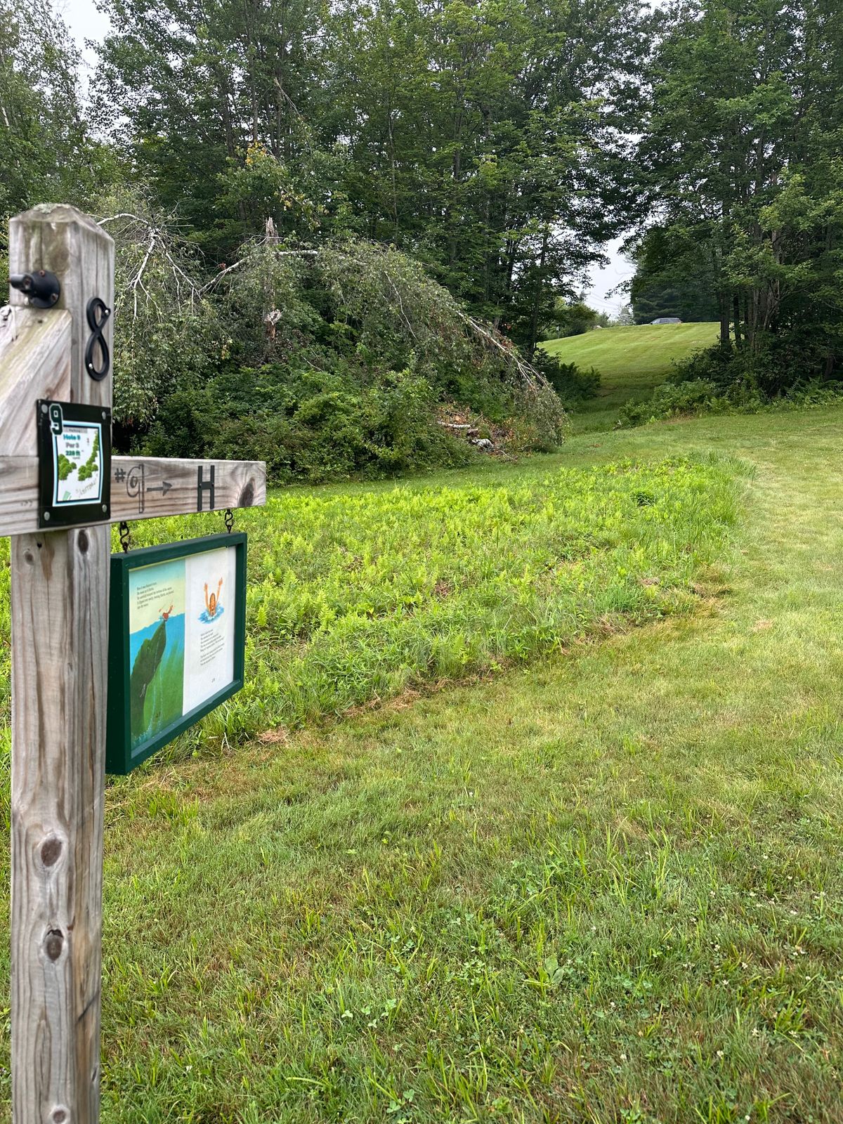 9 tee pad