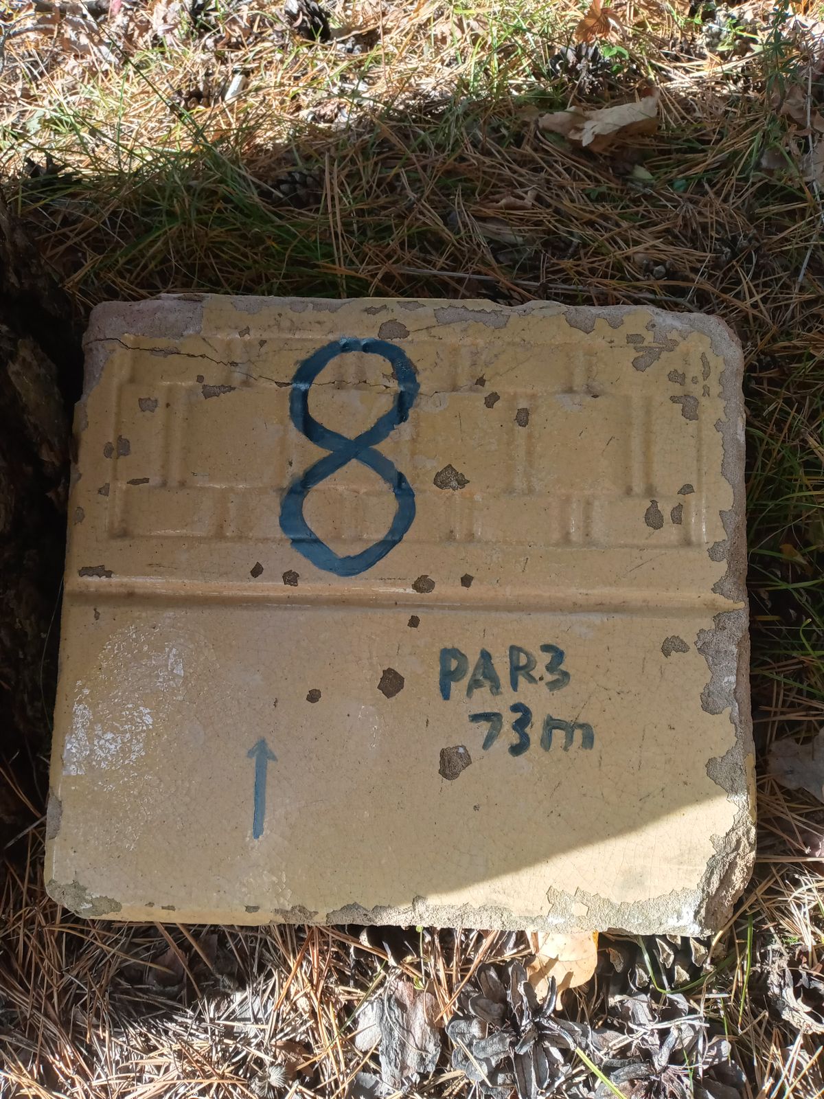 Hole 8 Tee Sign
