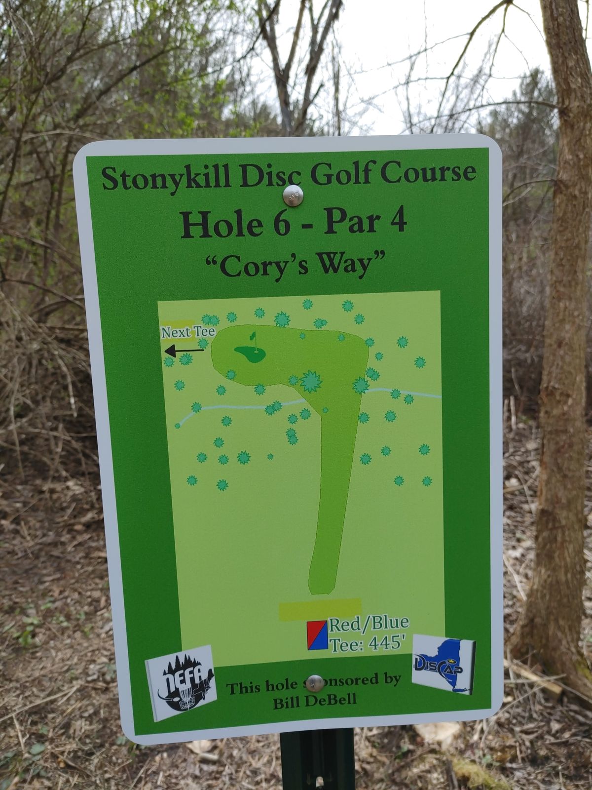 Hole 6 map