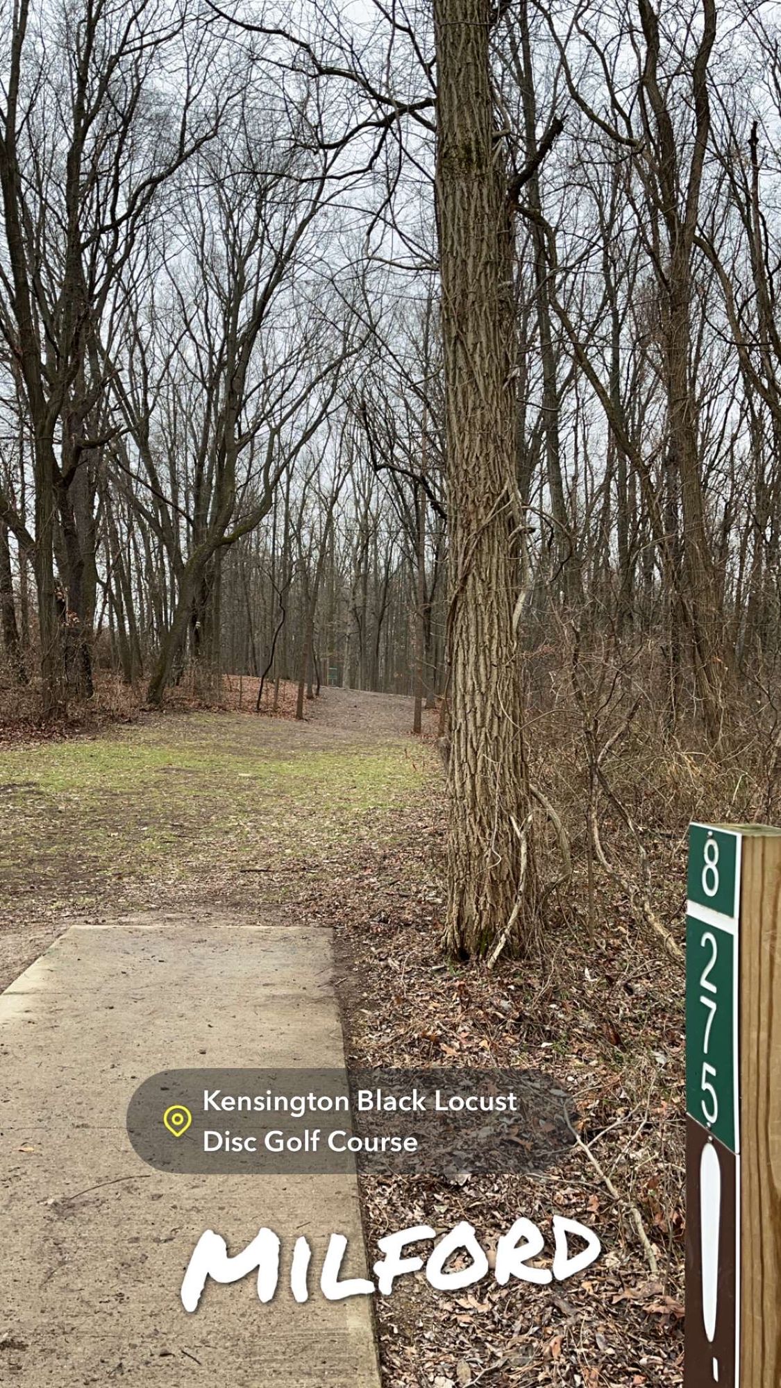 Hole 8