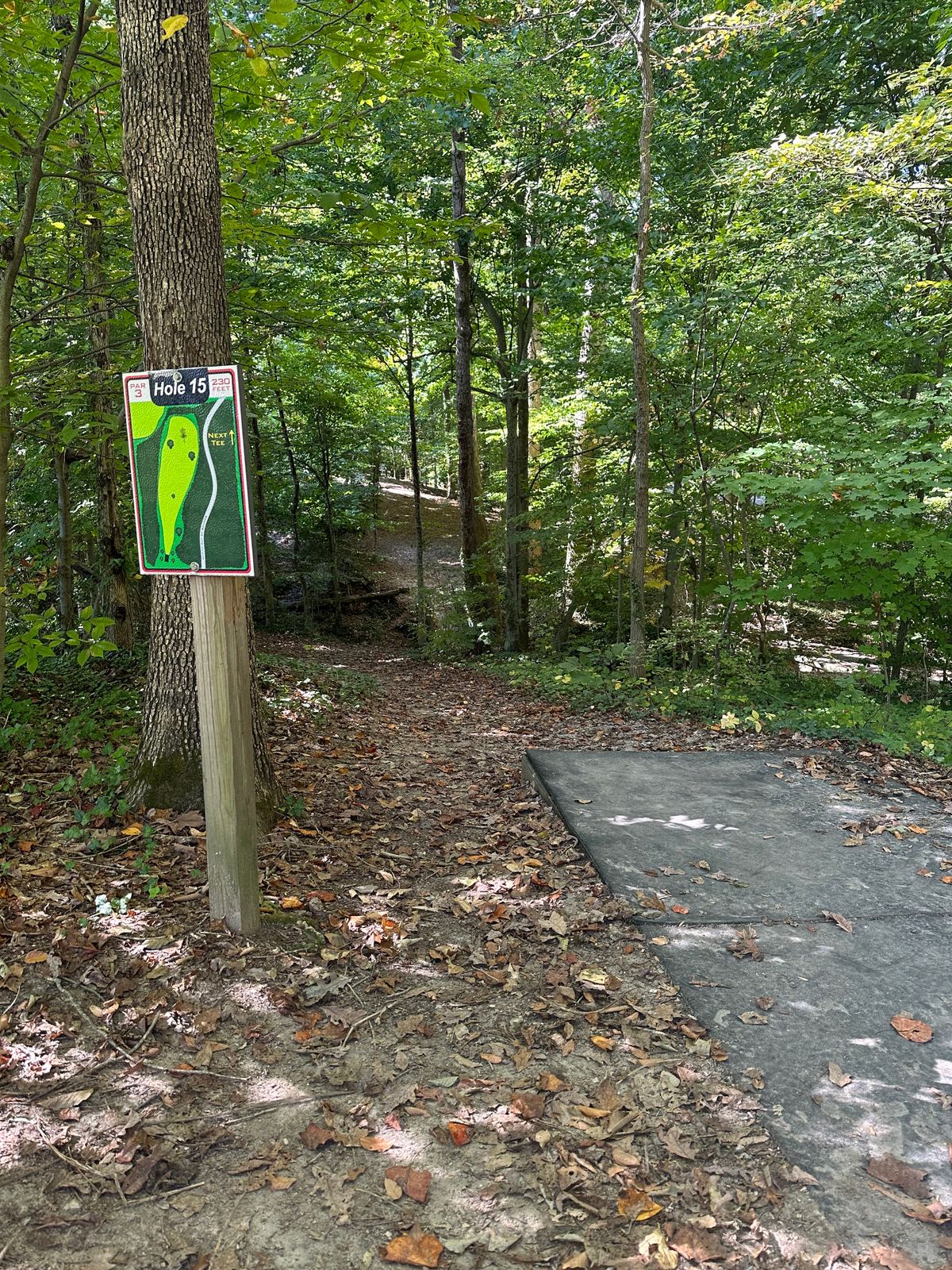 Hole #15 - downhill and across the creek