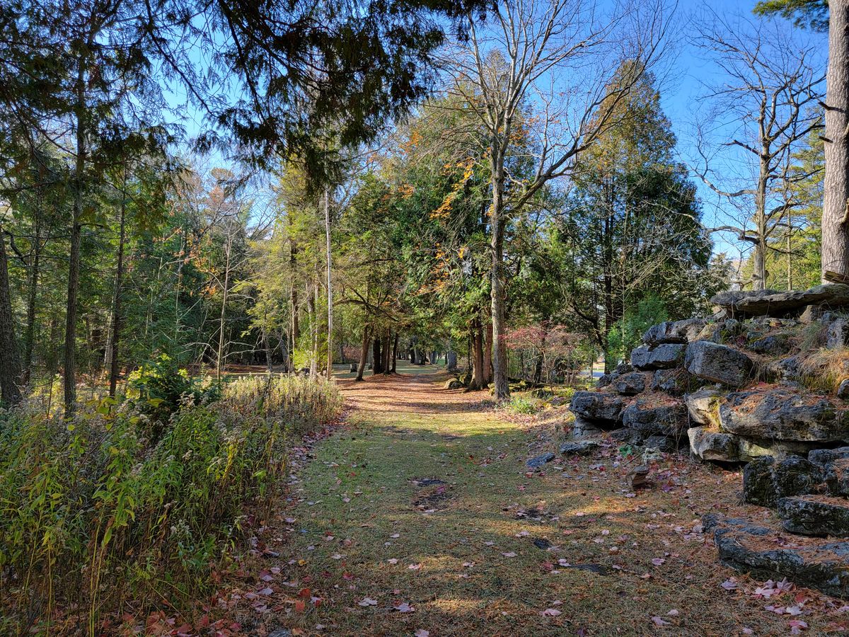 Hole 4 short tee - before photo