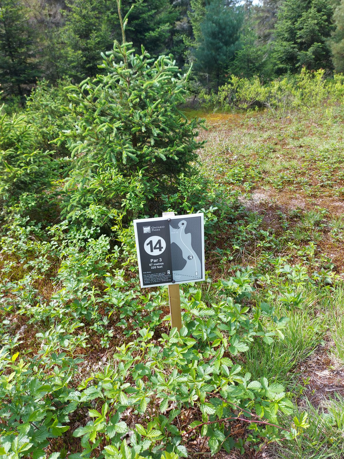 Hole sign 14. 220ft.🍁🌲🍁🌲🍁🌲