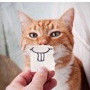 User avatar image