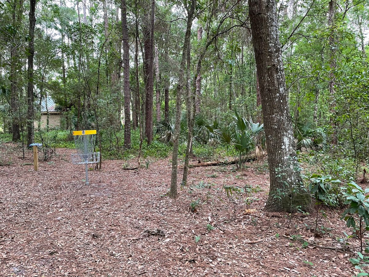 Hole 8