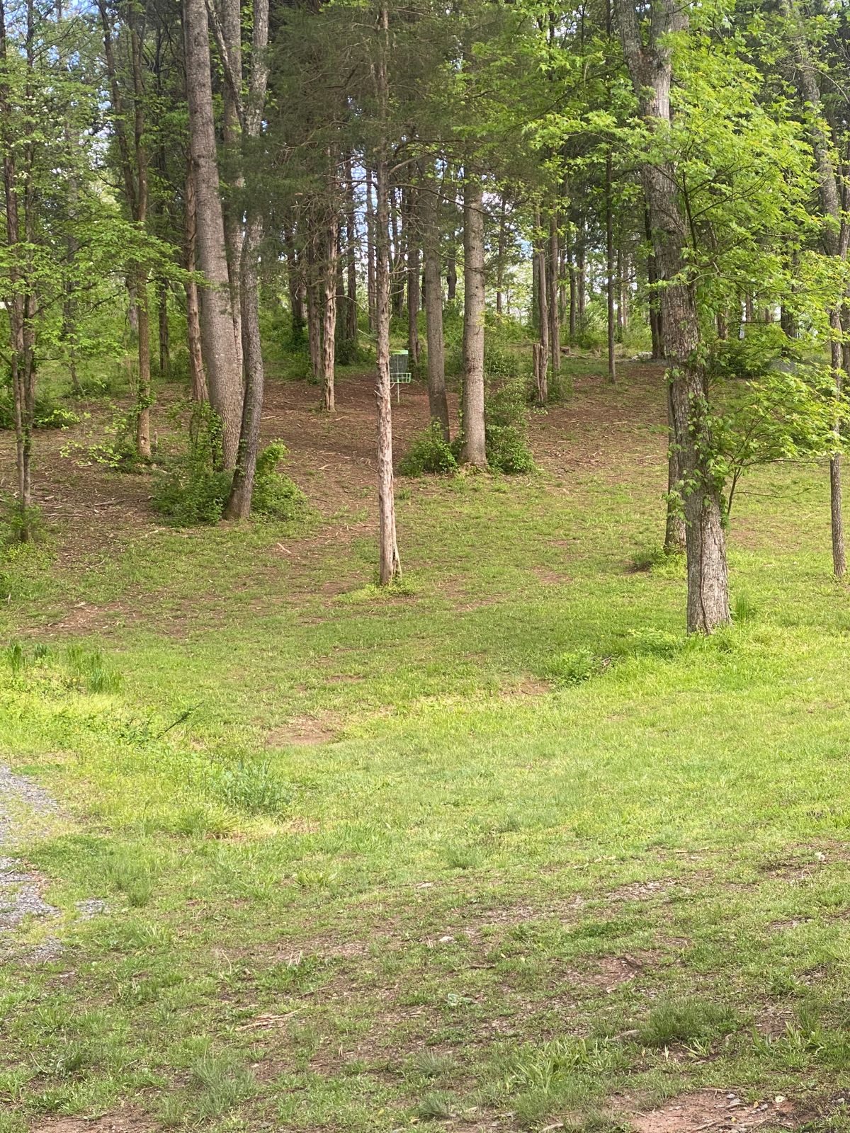 Hole 16 tee pad