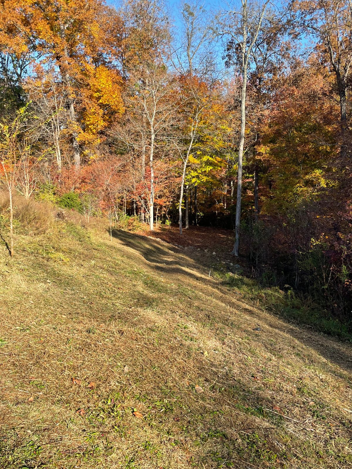 Hole 1 tee to gap entrance