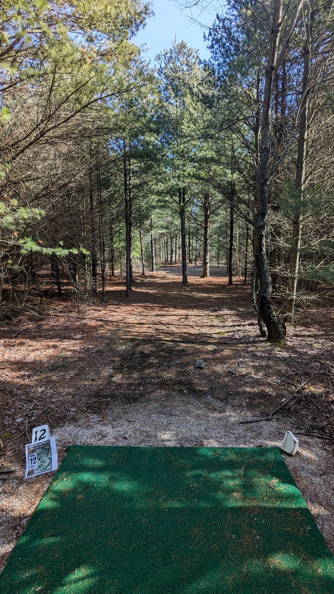 Hole 12-90 degree left turn to the basket
