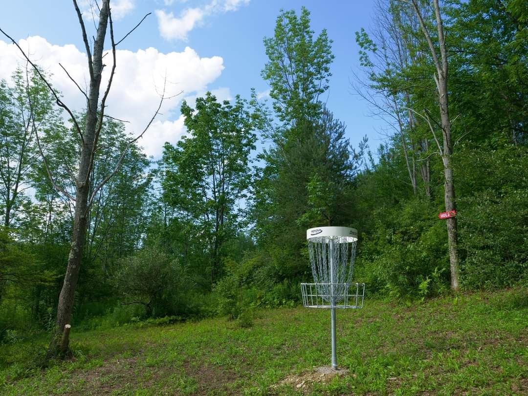 Hole 4 Long green