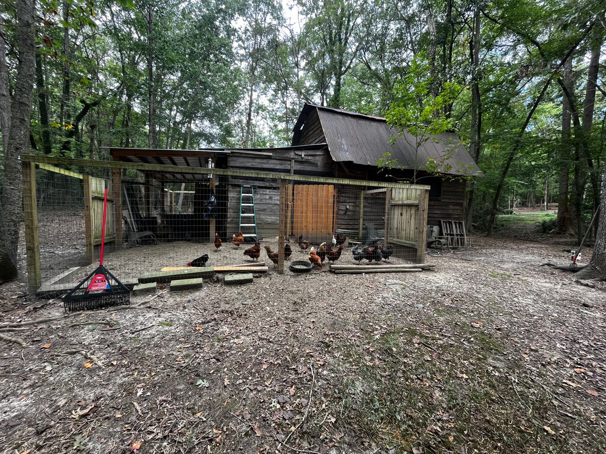 The barn and chicken coupe near Tee 9