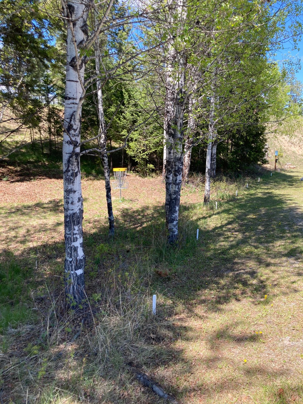 OB stakes for hole 7