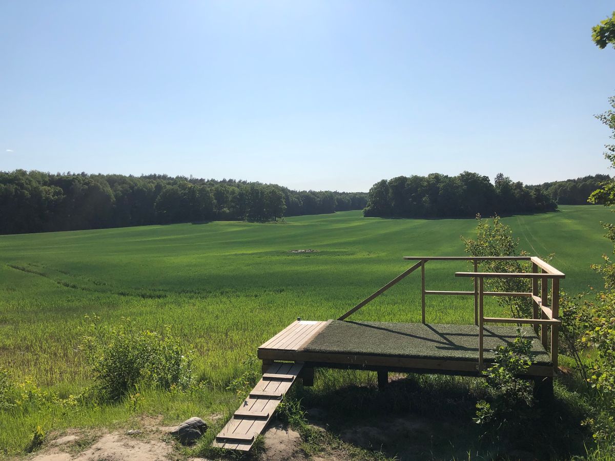 14. Blå