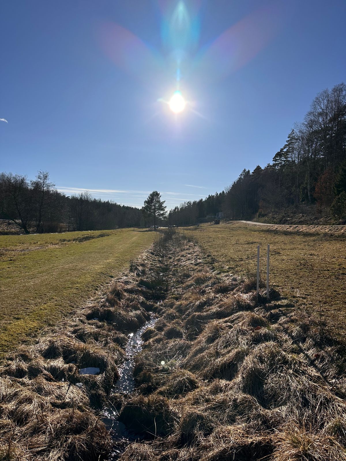 Endeløse sletter med kurver🥰
