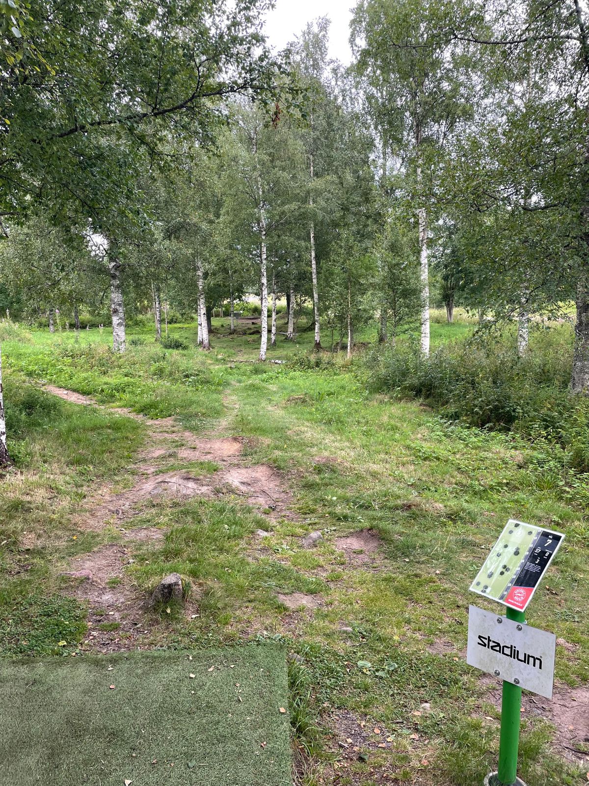 Hole 7