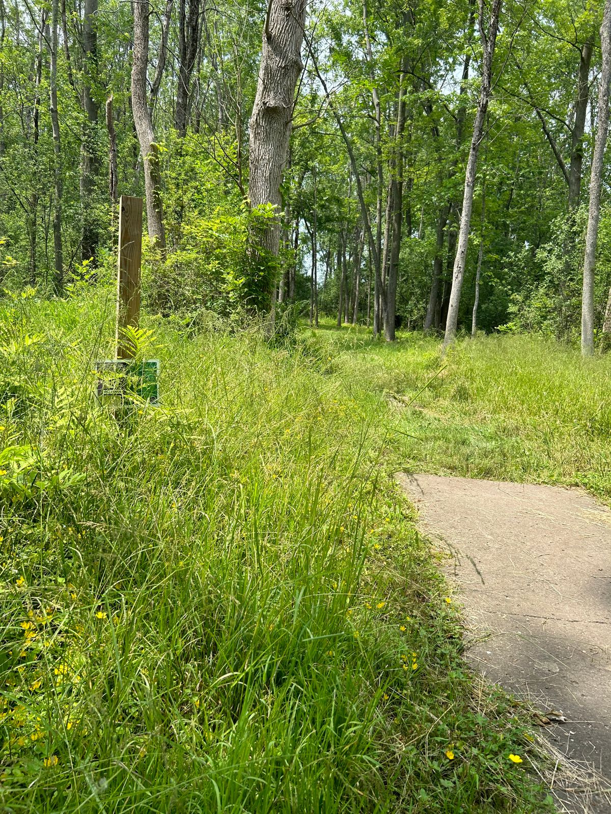 Hole 13