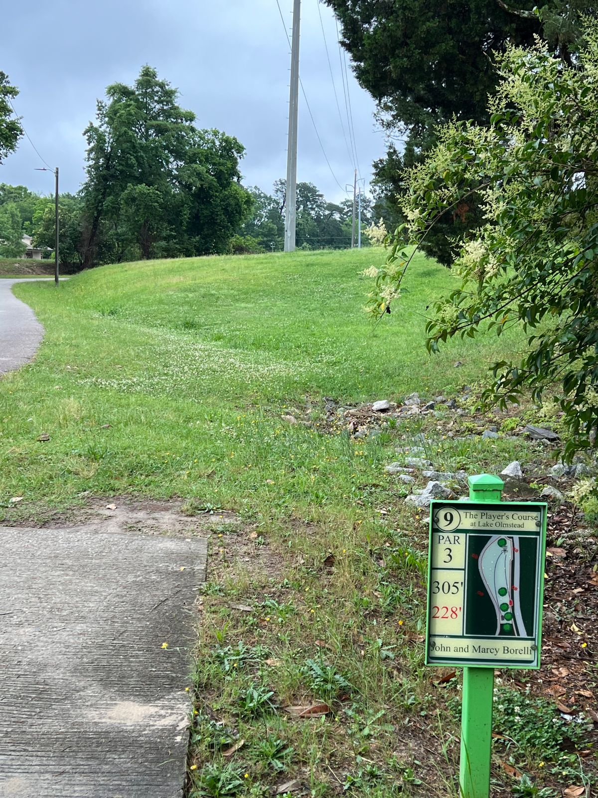 Hole has main and short tee. 