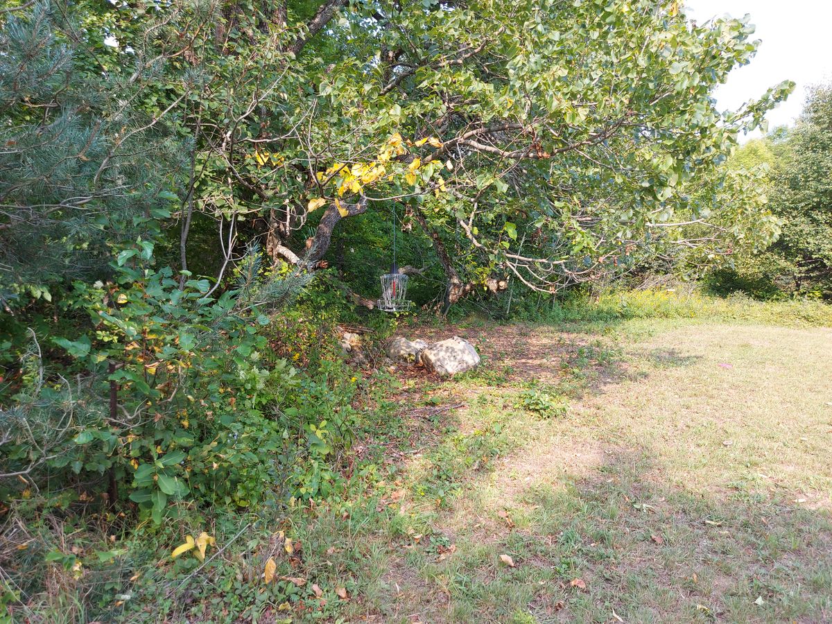 Parked.on hole 7.🍁🍀🍁🍀