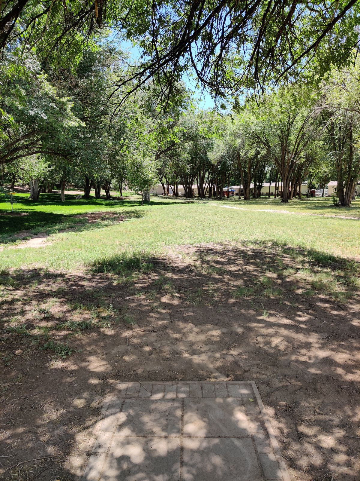Hole 4