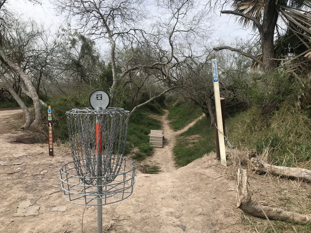 Looking back from basket 5 to tee pad.