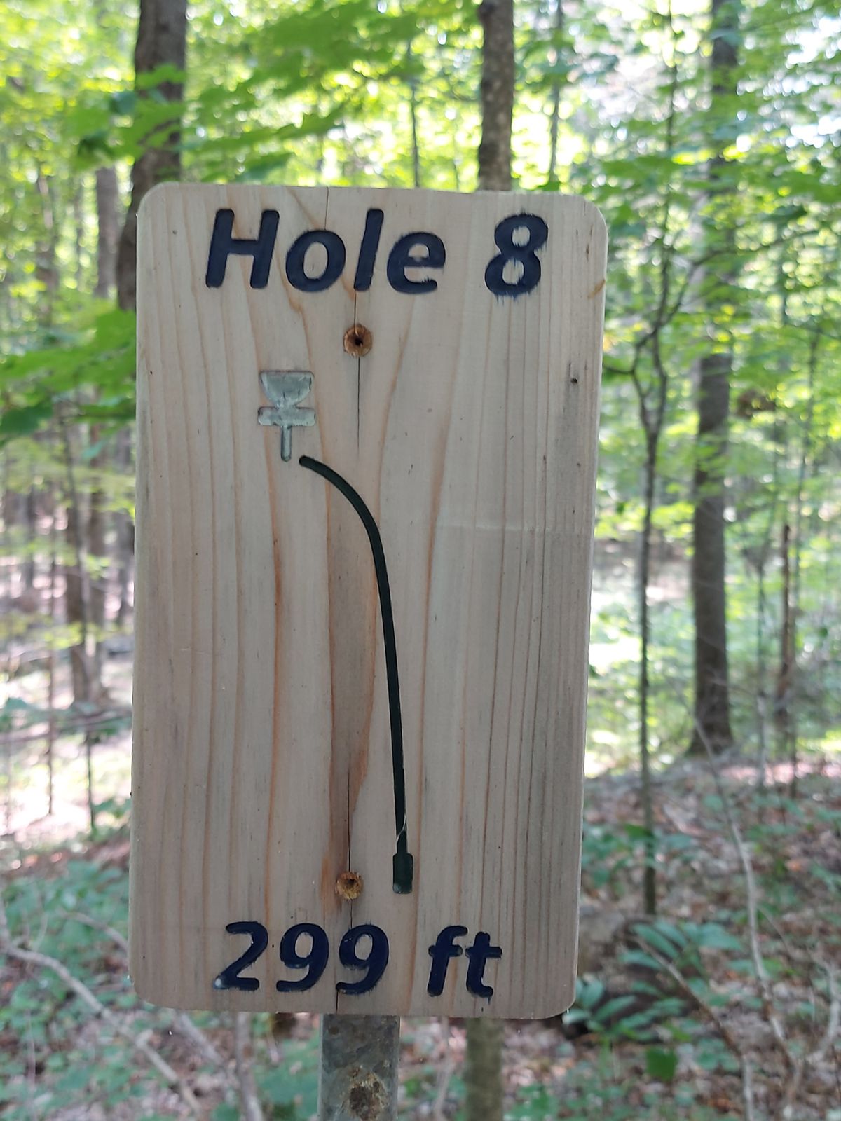 Hole sign #8.☘🍀🌳🌿