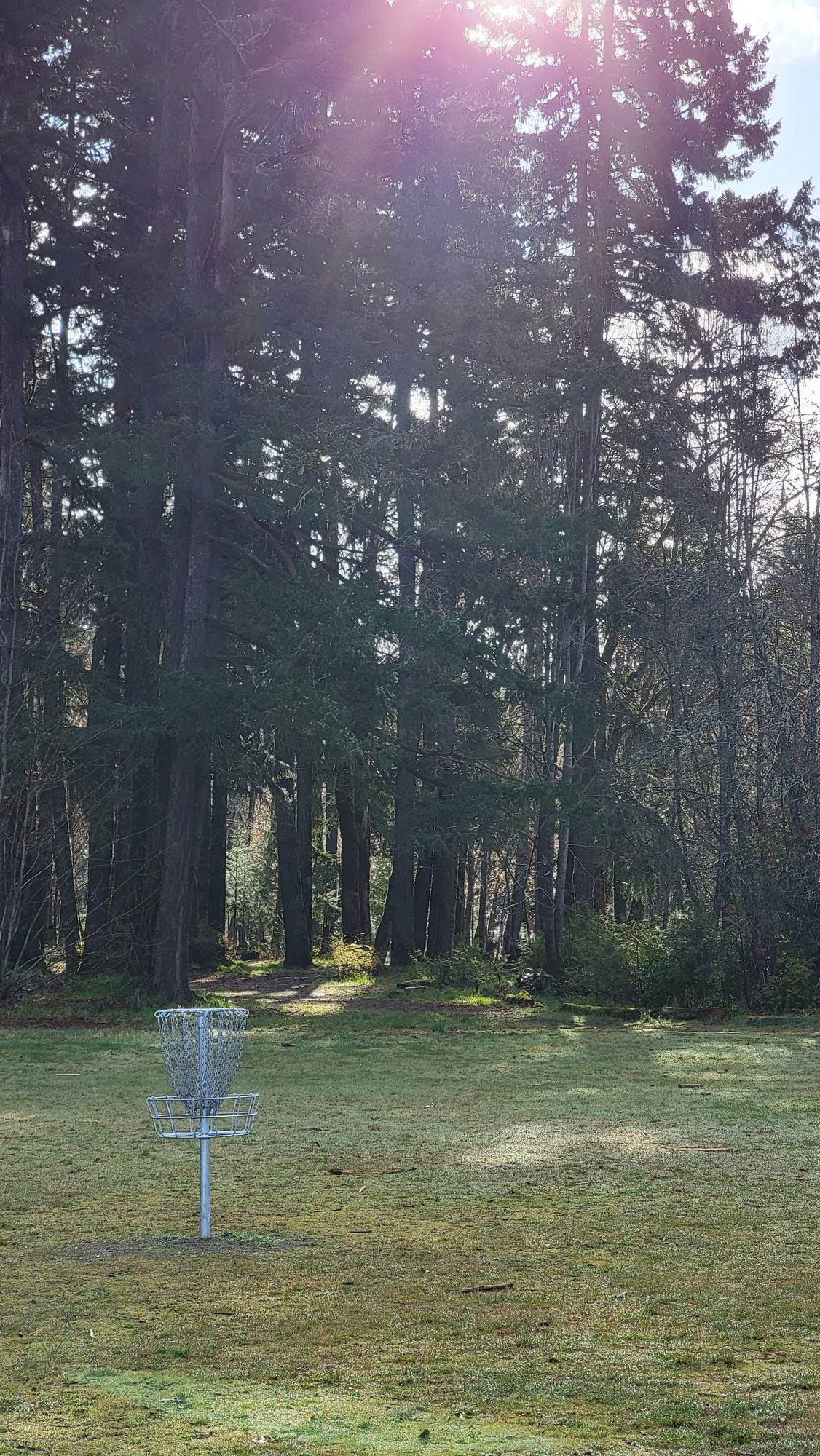 The basket of 18 looking backninto the trees at the tee pad.