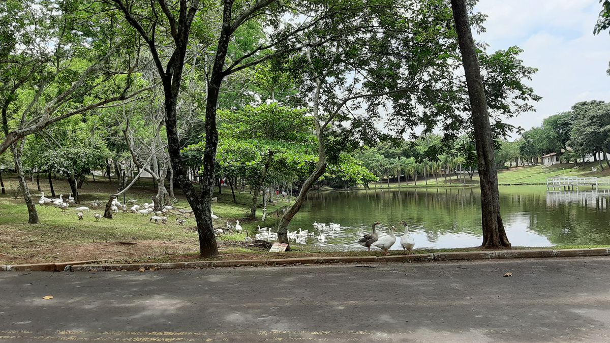 View of Hole 18