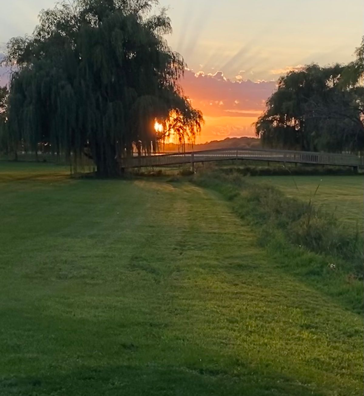 Beautiful twilight round