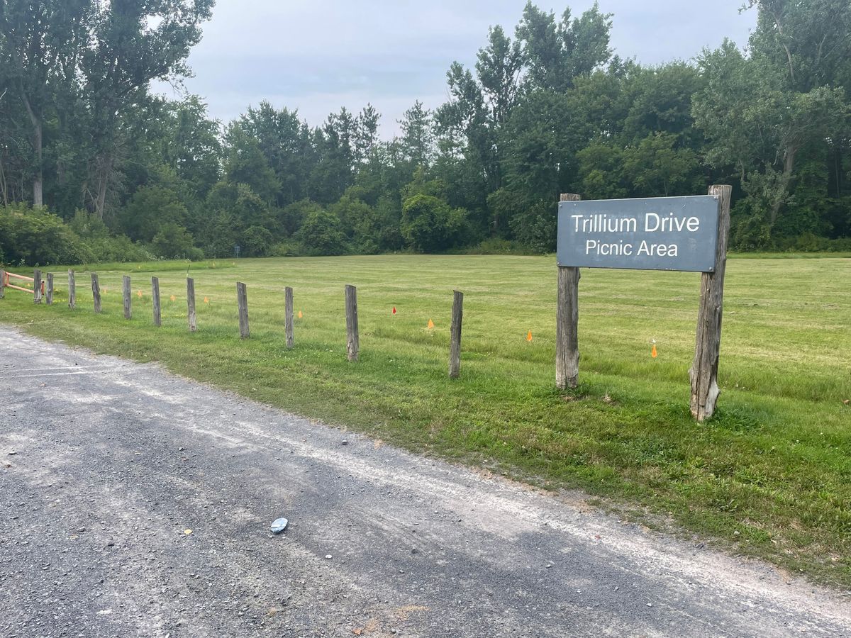 Parking lot infront of hole 1 and hole 9.