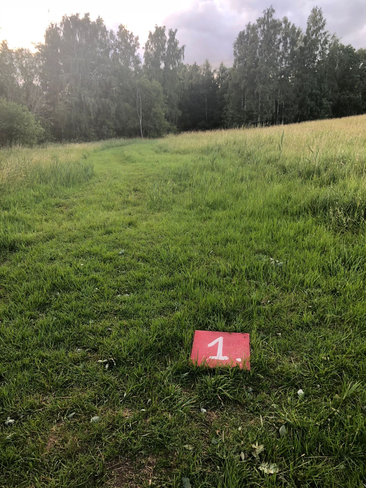 Tee 1