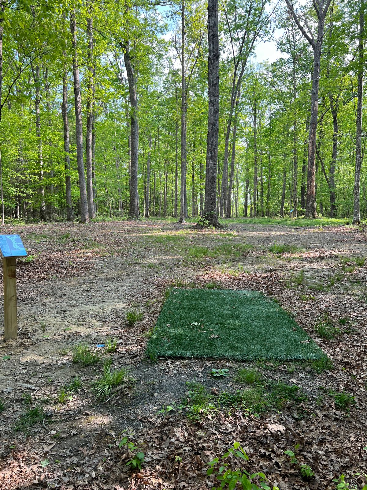 Hole 5 Blue Tee