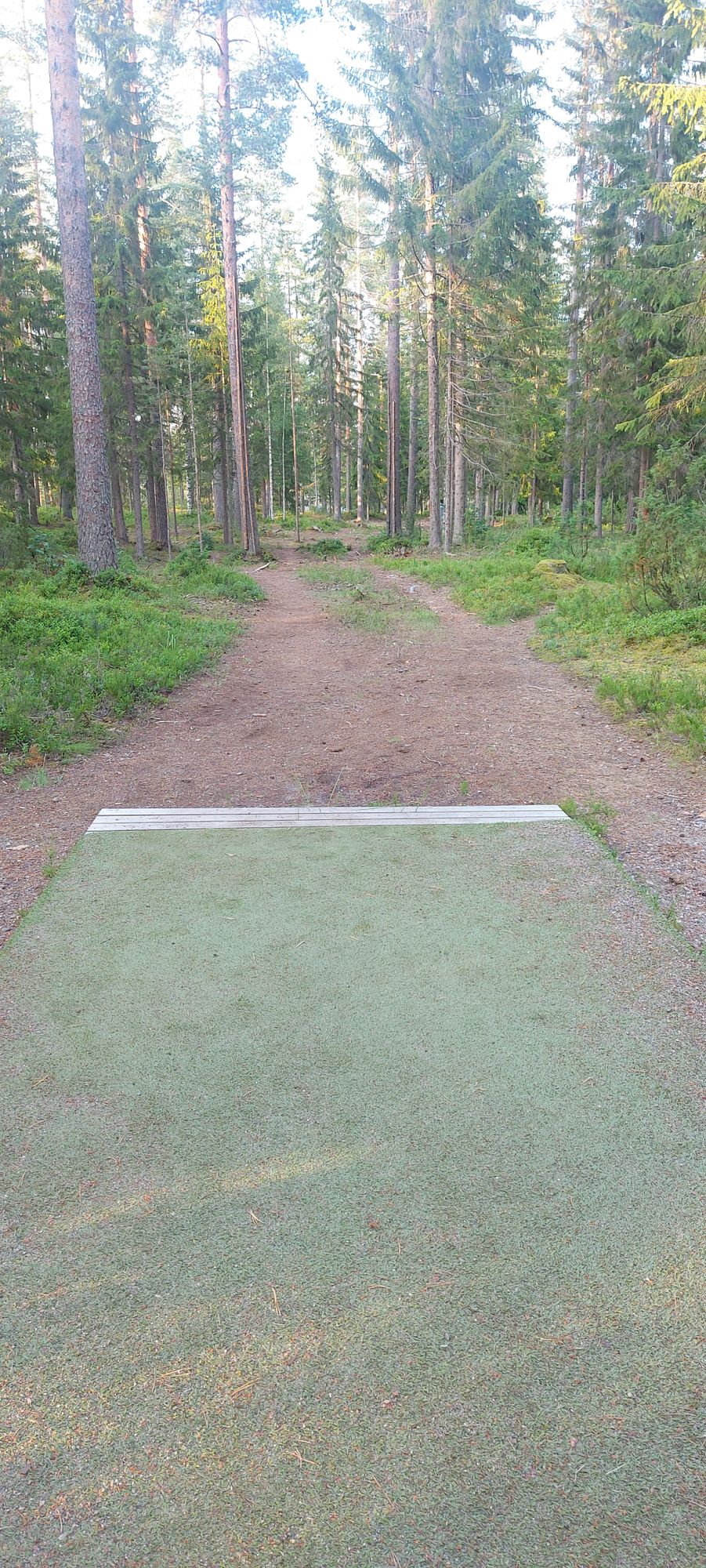 Tarinalaakso New Course tee 14