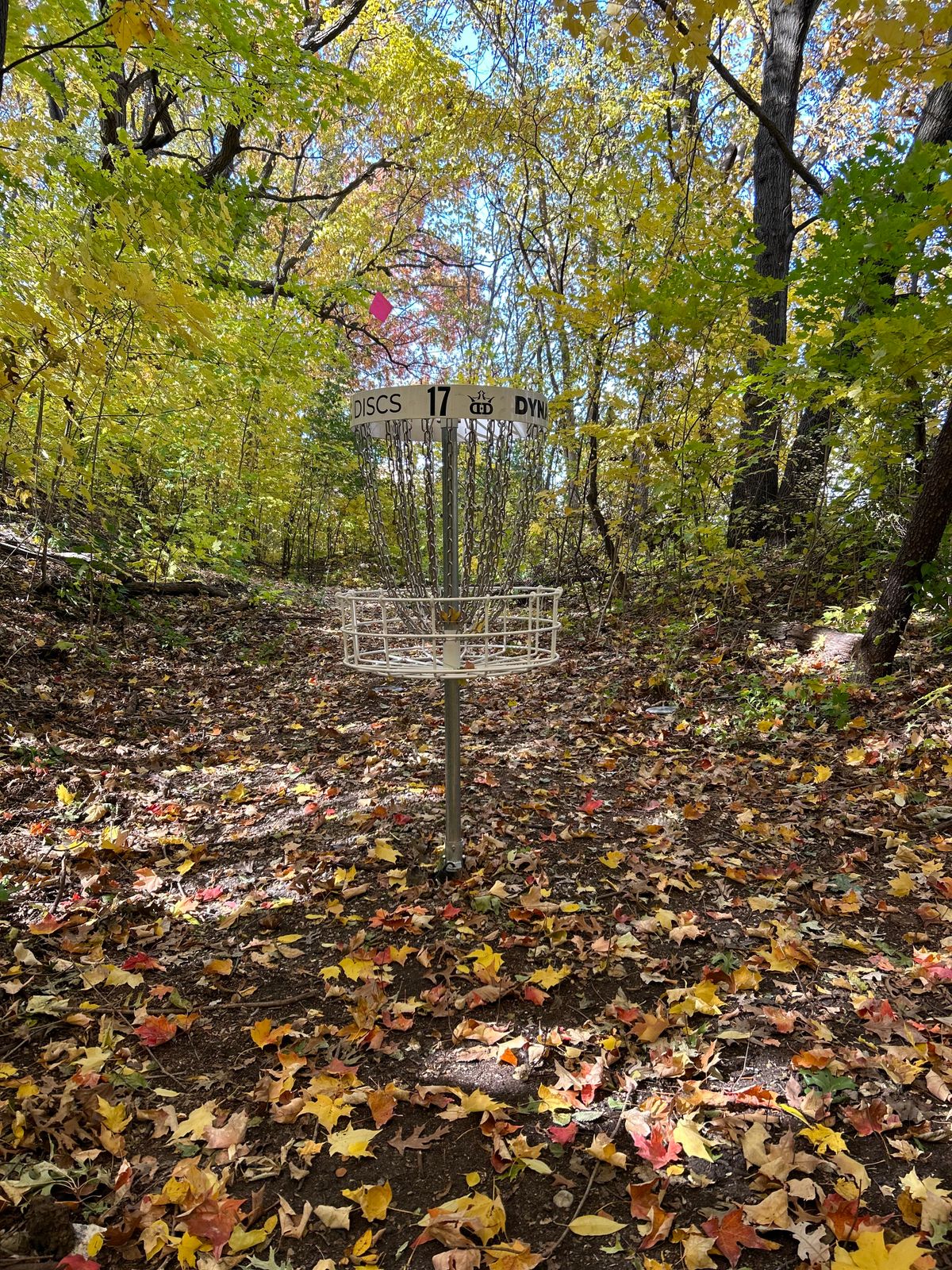 FALL in love with hole 17