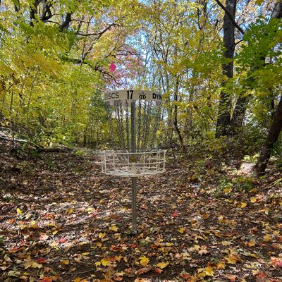 FALL in love with hole 17