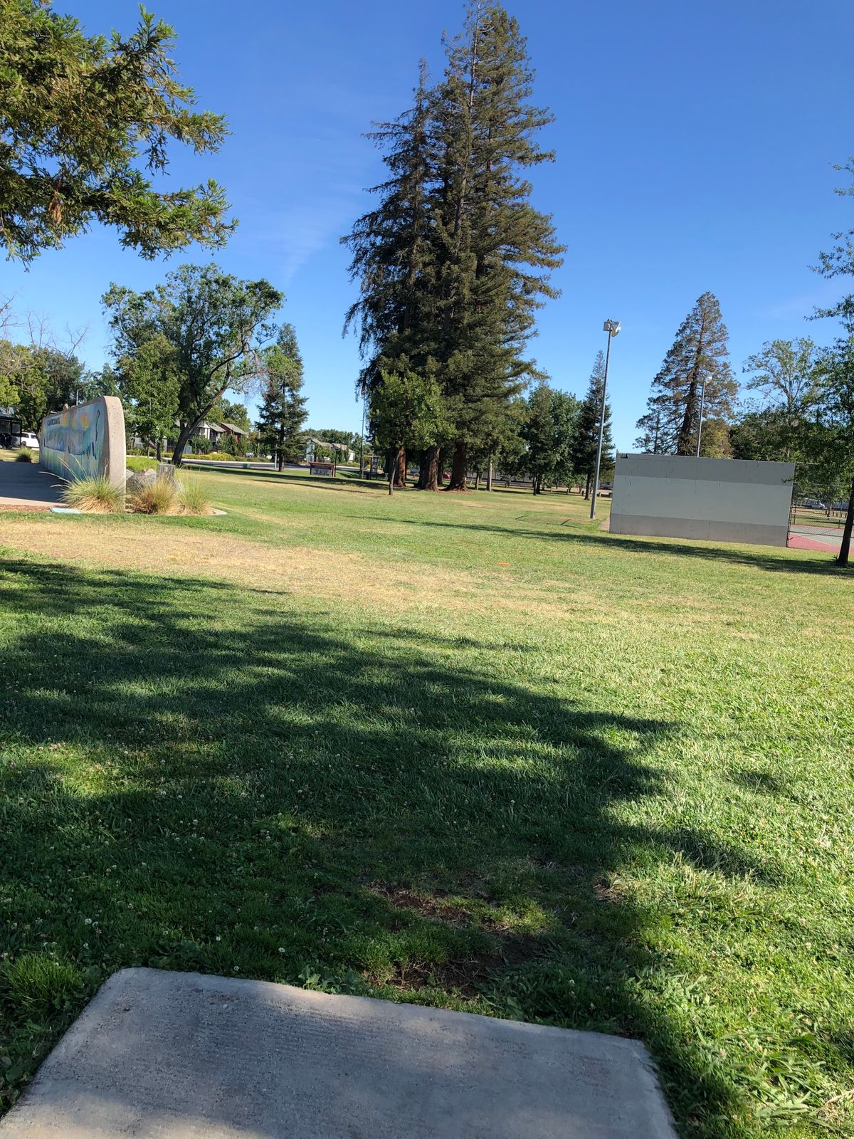 Hole 2 tee pad