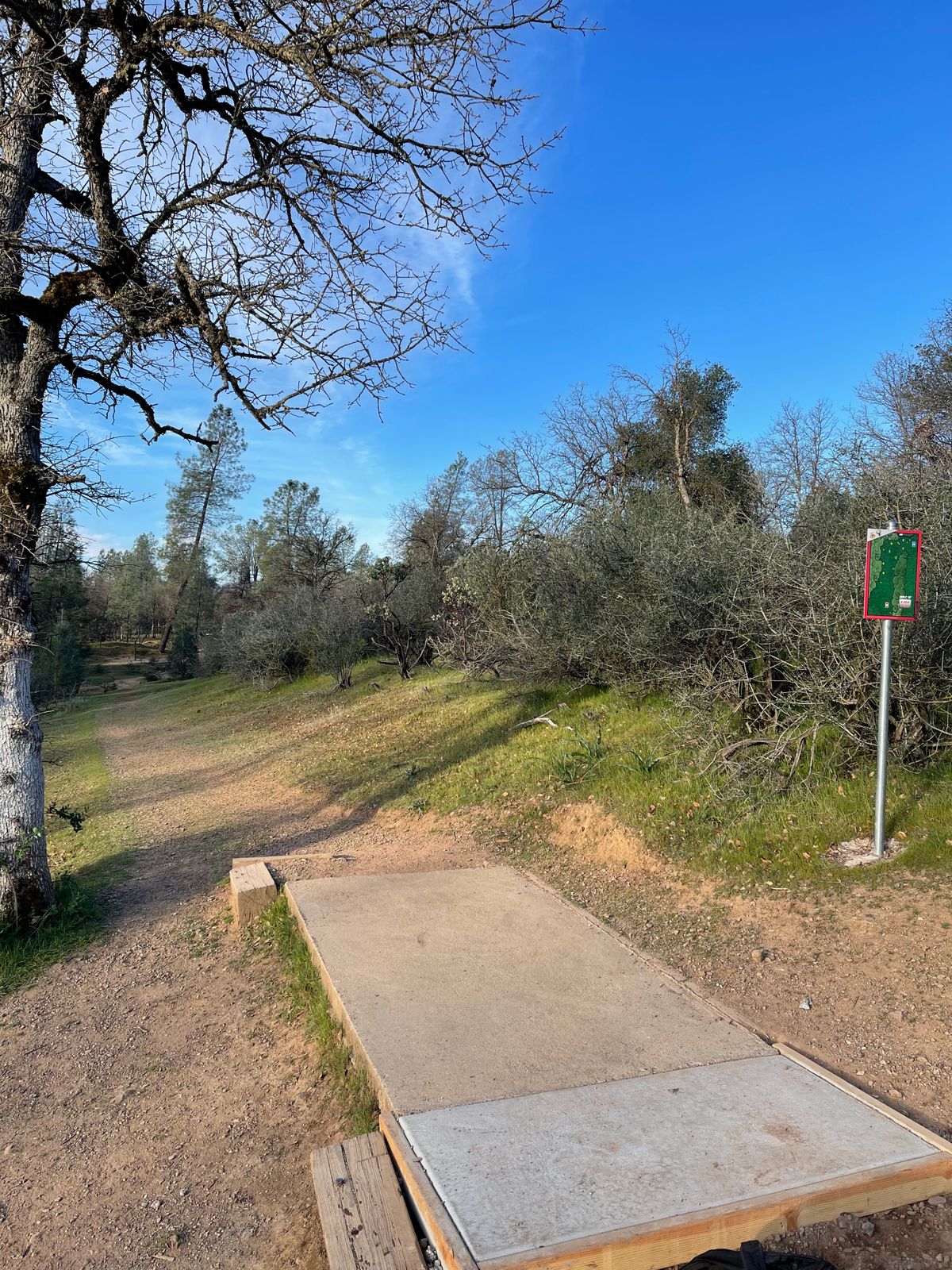 Hole 12