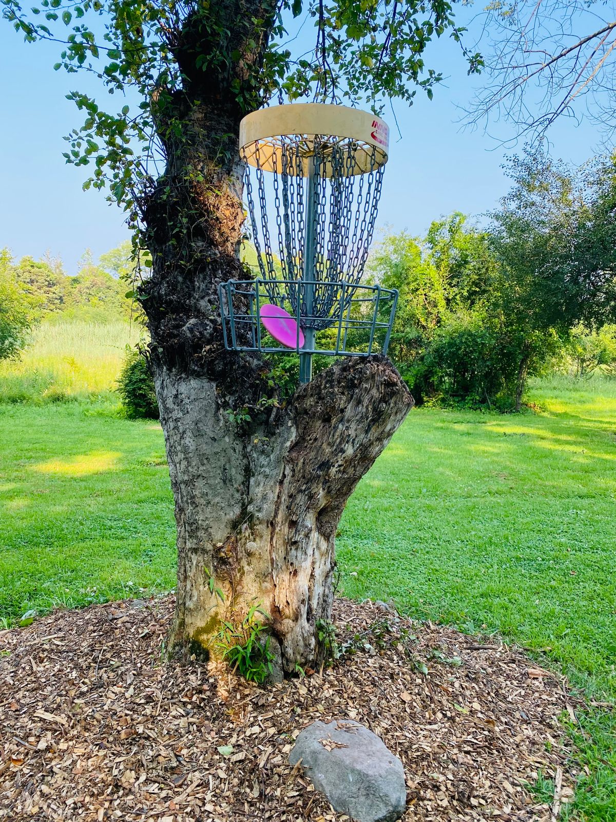 Hole 14