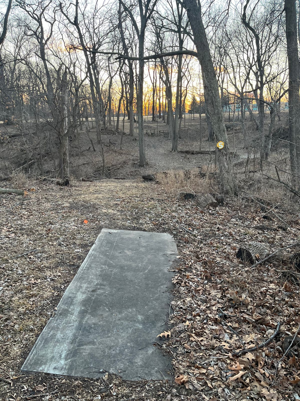 Hole 5 /14 tee pad