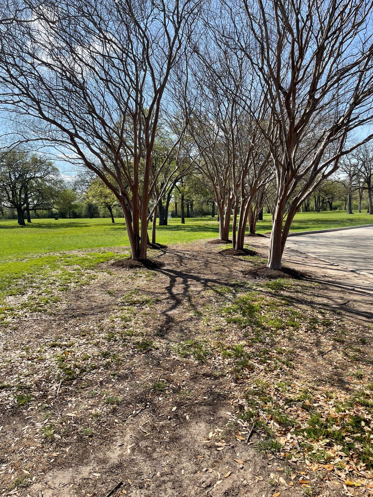 Hole 1