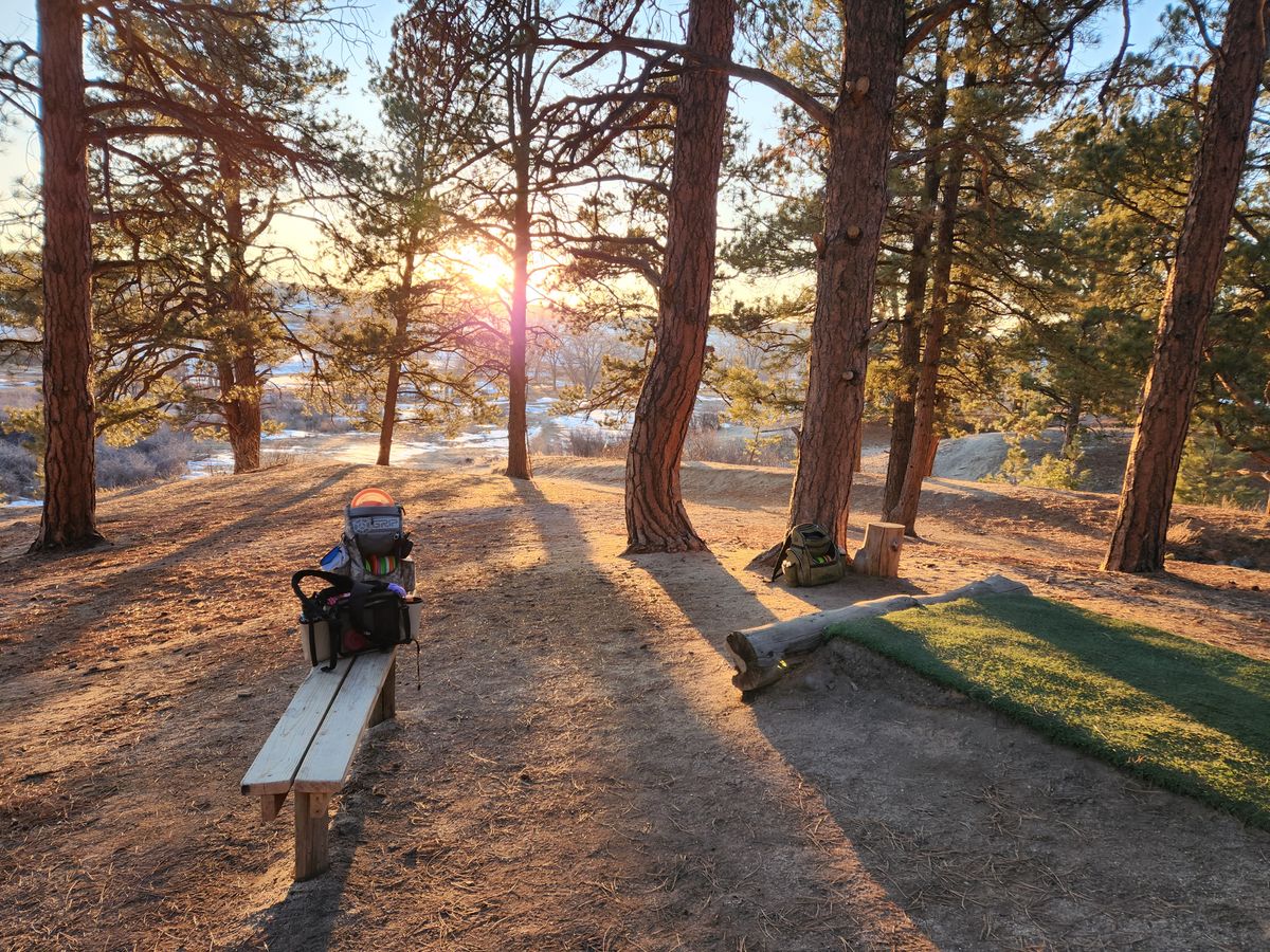 Prickly Pines Disc Golf Course