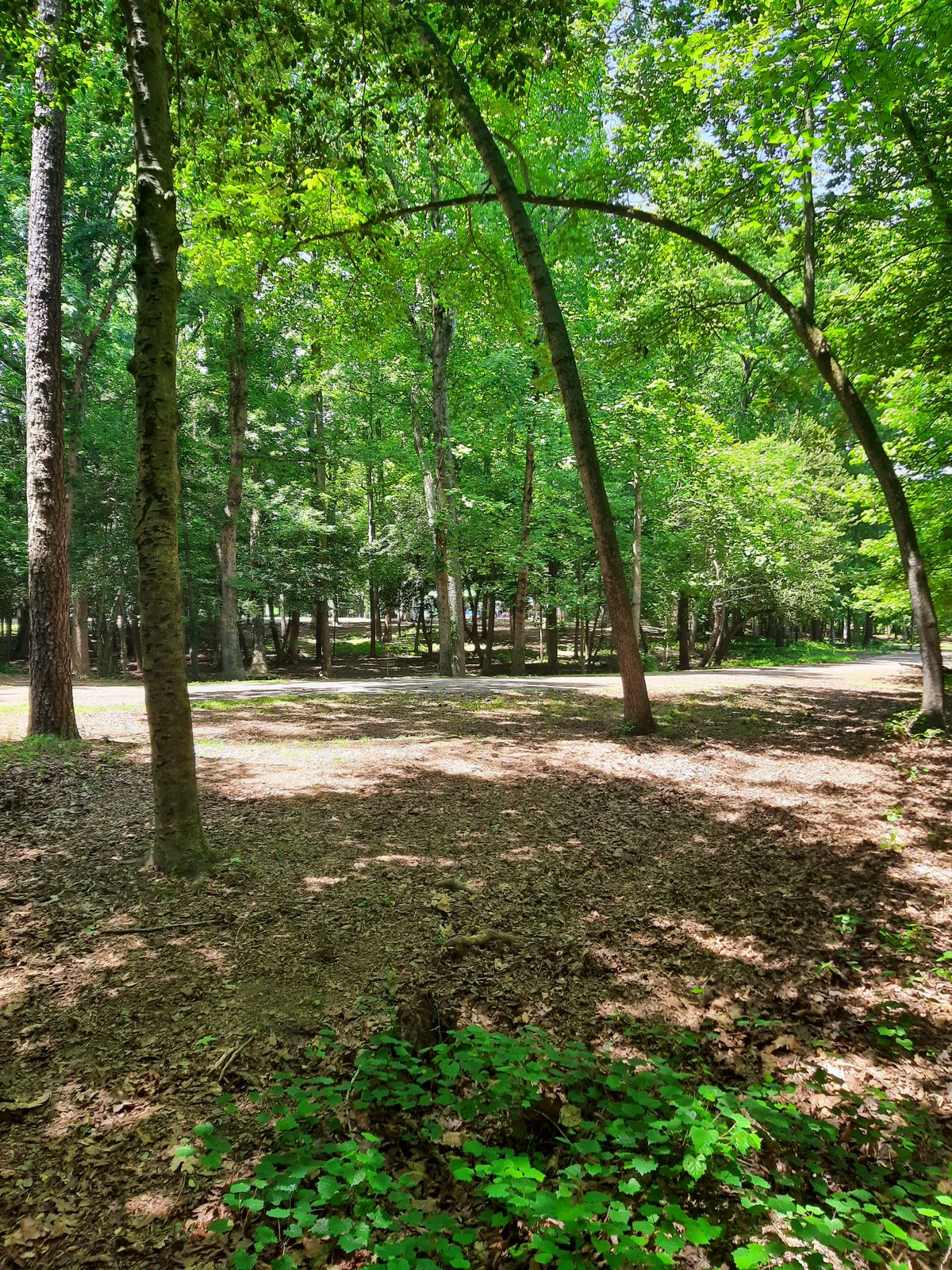 Hole 9 Fairway