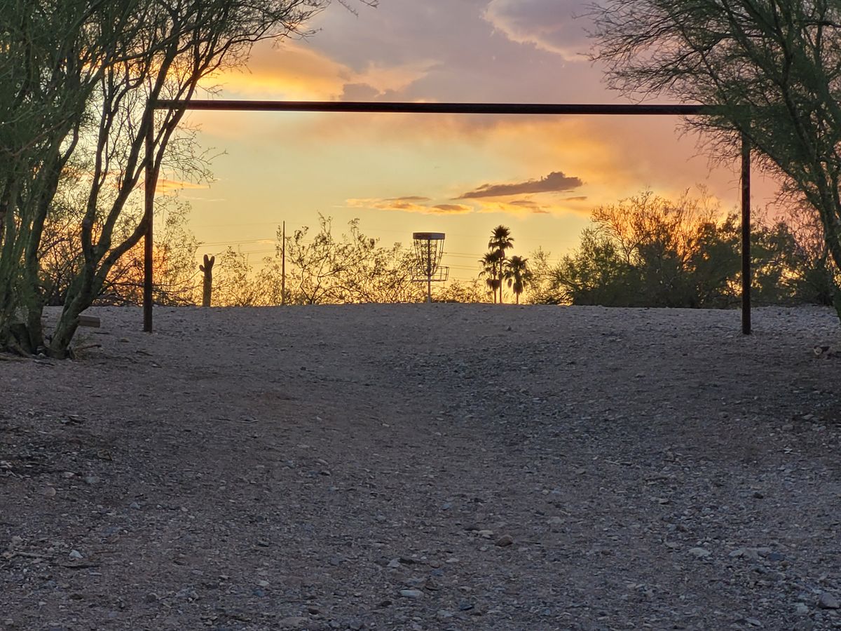 There's no better way to capture a first tee throw in Arizona than saguaro and palms in the picture.