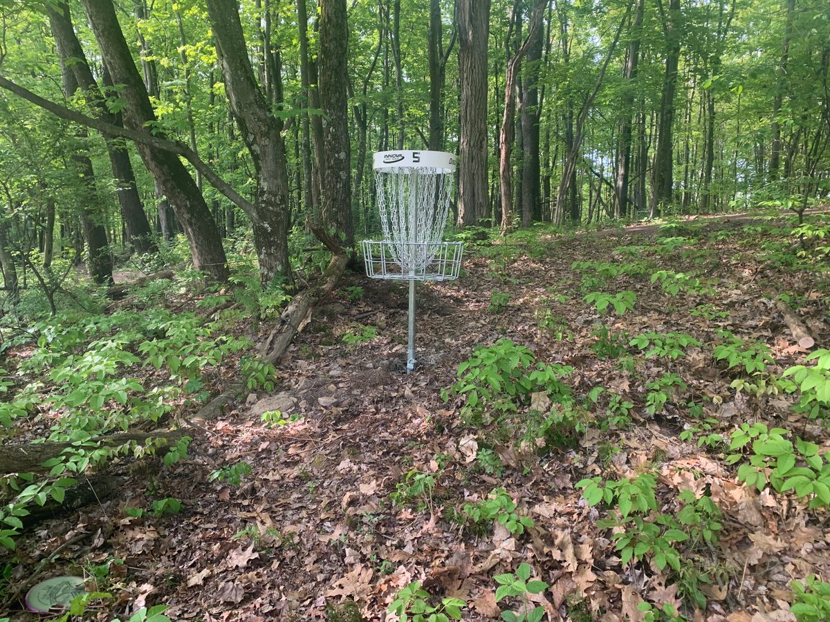 Hole 6
