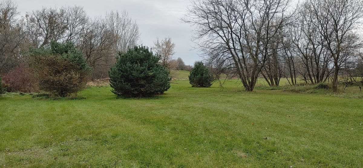 Fairway of Hole 15