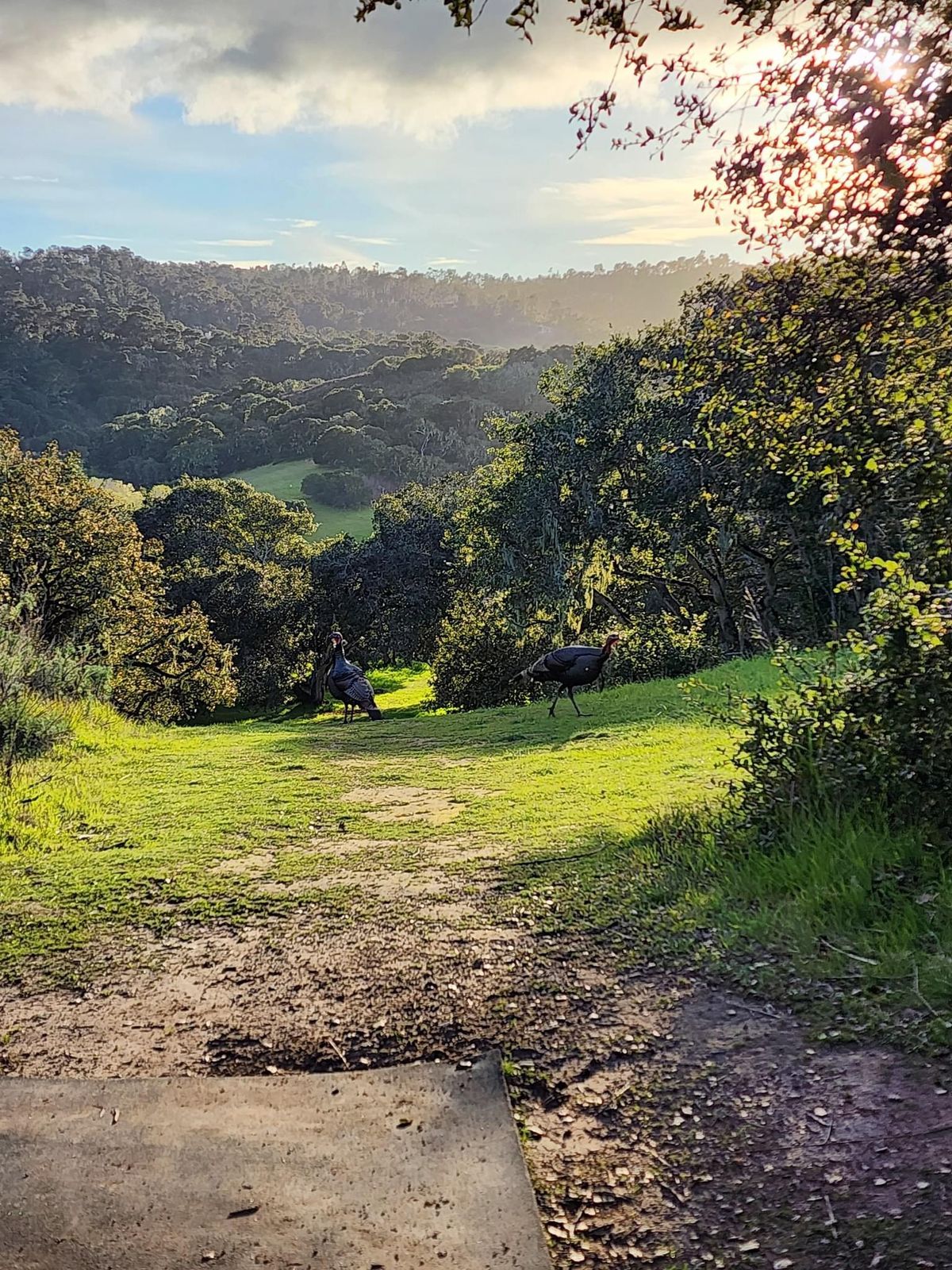 Hole 11’s tee pad.