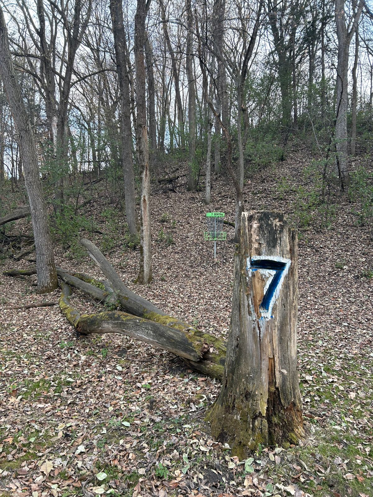 Hole 7s basket (in case you couldn’t tell)