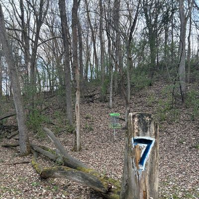 Hole 7s basket (in case you couldn’t tell)