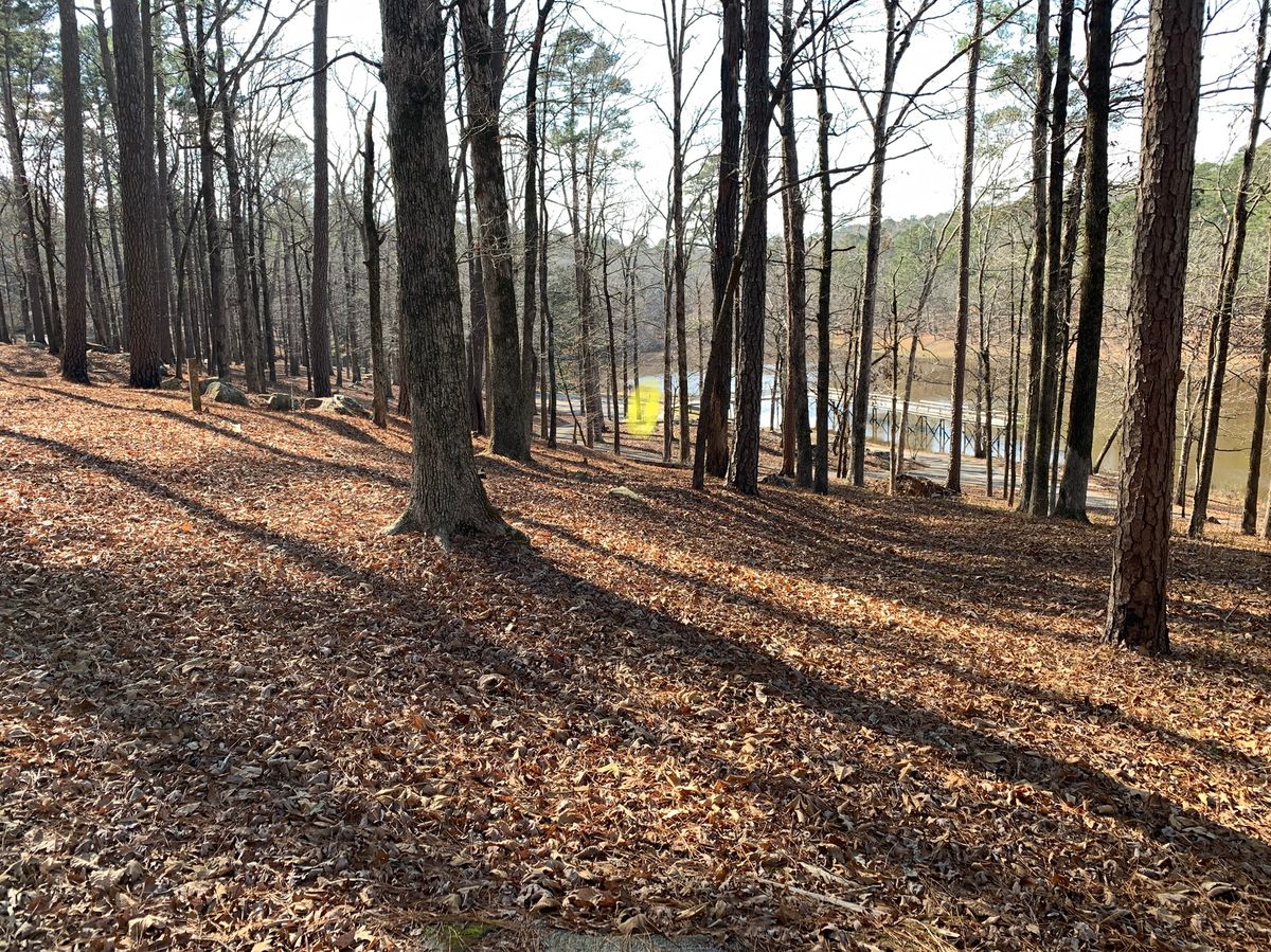 Hole 10, basket highlighted